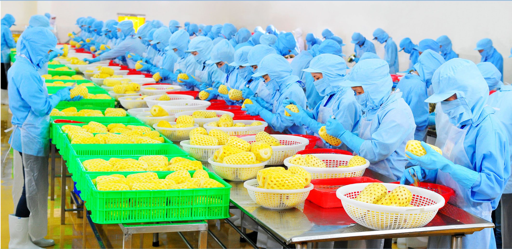 Nguồn nguyên liệu sạch